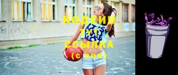 гидра Гусь-Хрустальный