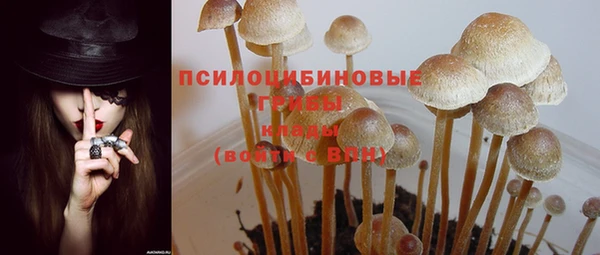 mdma Гусиноозёрск