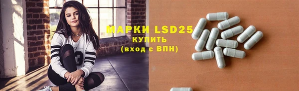 гидра Гусь-Хрустальный