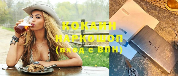 гидра Гусь-Хрустальный